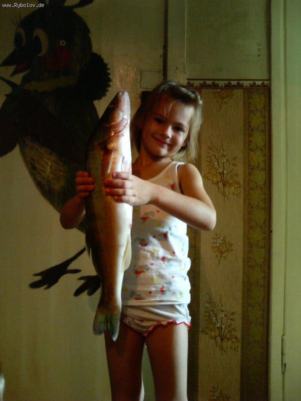 --����� �������-�������� ������ vikafisher - ������� (����������)