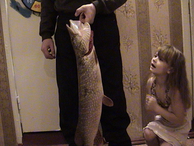 --����!����� ��� ���������. - ������� (����������)