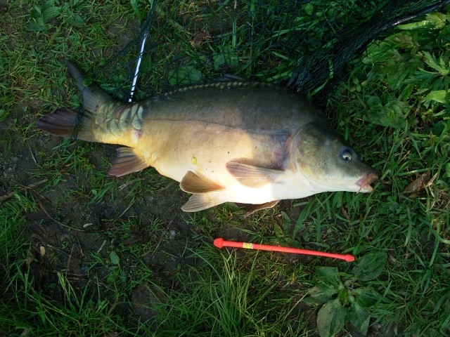 --Karp2 - ������� (����������)