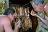 SPANIEN Maj 2006. - рыбалка (фотоальбом)