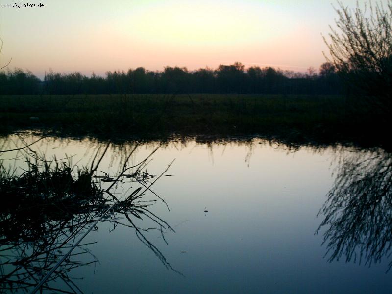 --�������. - ������� (����������)