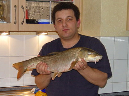 --���� 2005 ���� �� 2,4 �� - ������� (����������)