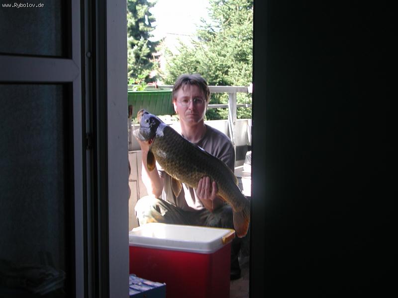 --�������� ����� - ������� (����������)