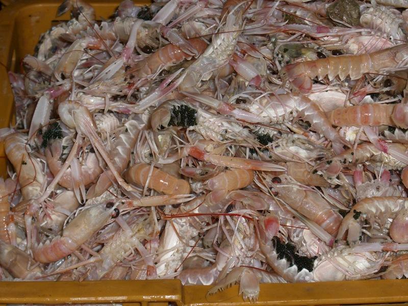 --������ � ����� - ������� (����������)