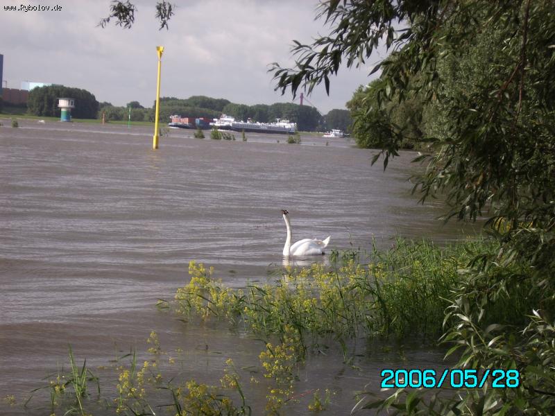 --���� � ������� - ������� (����������)