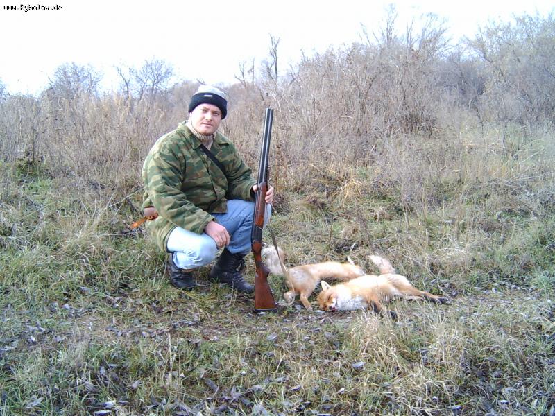 --�����!!!! - ������� (����������)