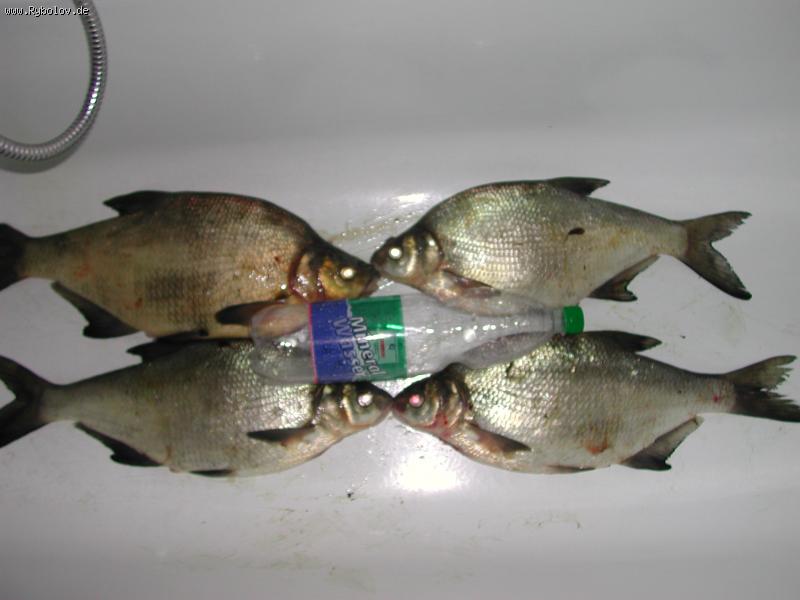 --�������� ���� - ������� (����������)