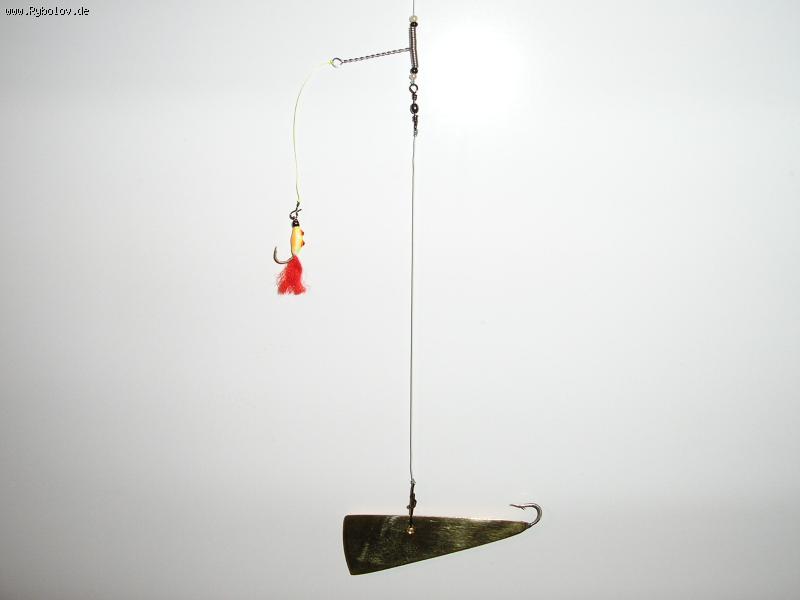 --��-�� �����,������ � �������� �������. - ������� (����������)