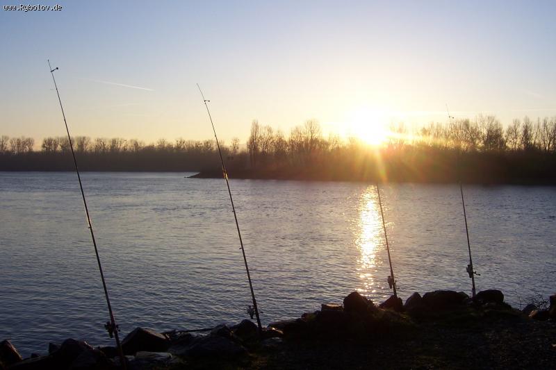 --�����������  ���� - ������� (����������)