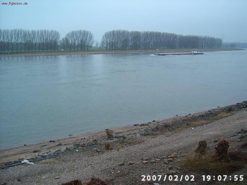--Rhein -  ()