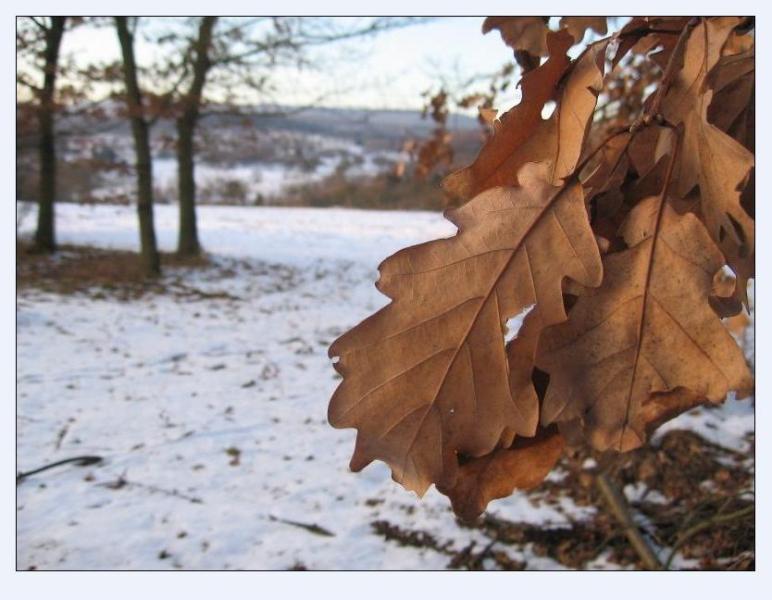 --�����... - ������� (����������)