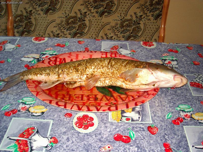 --�������� ���� - ������� (����������)