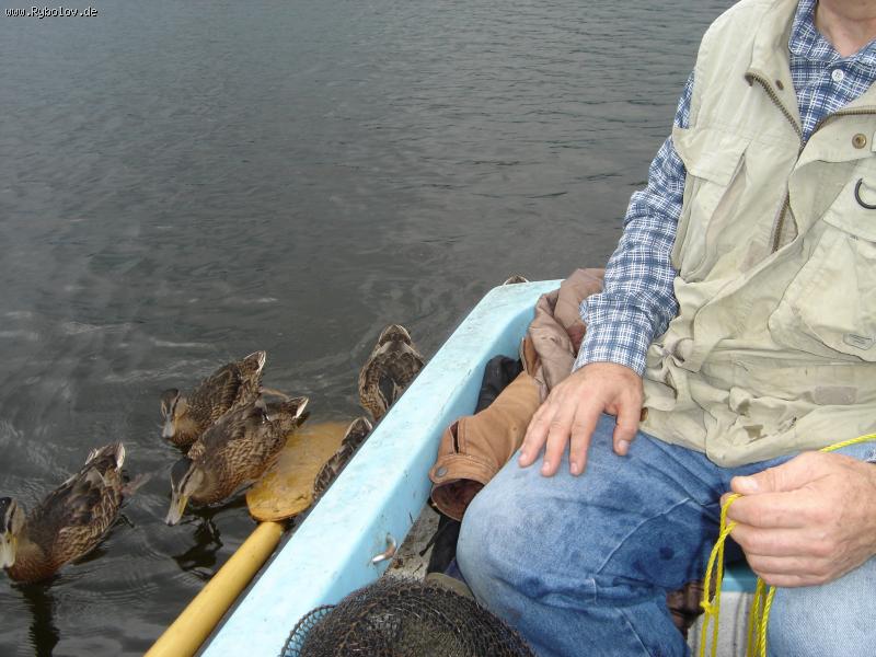 --����������... - ������� (����������)