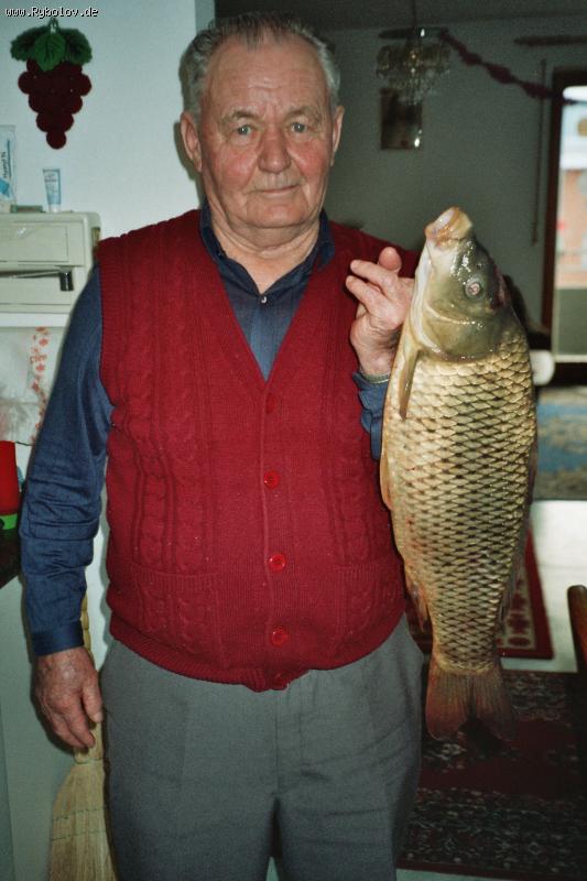 --Radolfzell - ������� (����������)