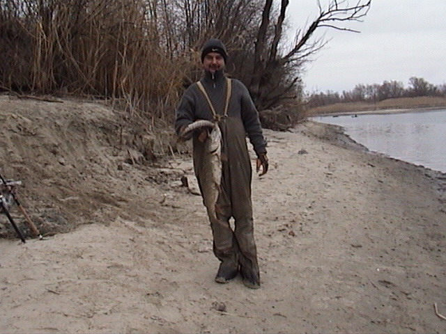 --����� - ������� (����������)