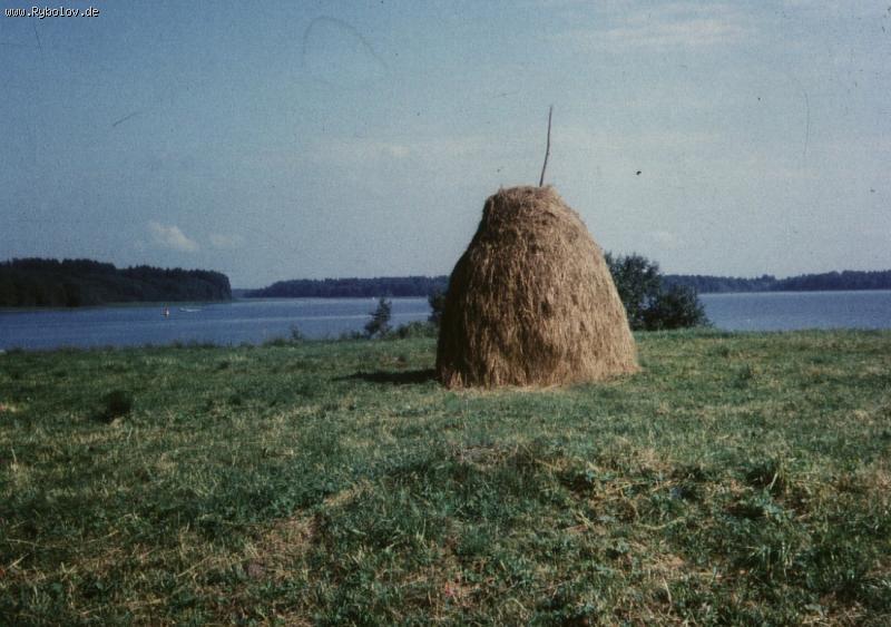 --�������. ���� ���� - ������� (����������)