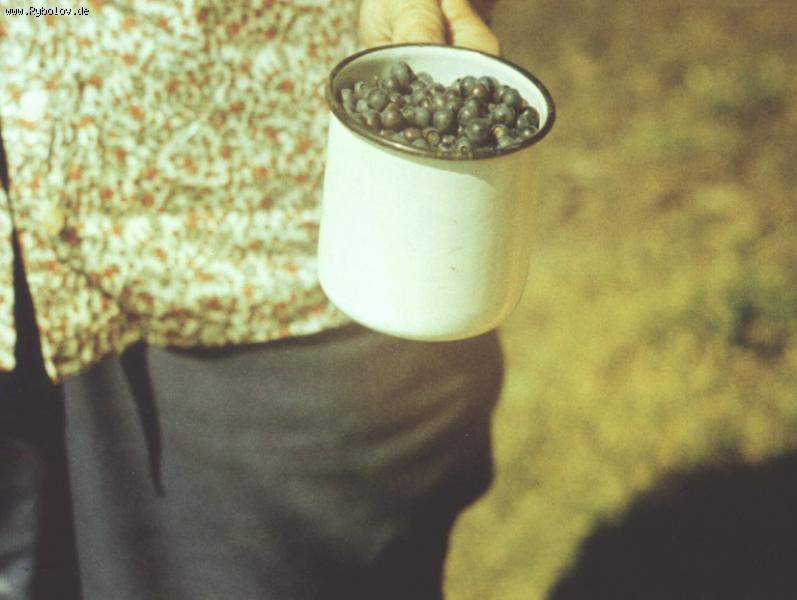 --�������. ������� - ������� (����������)