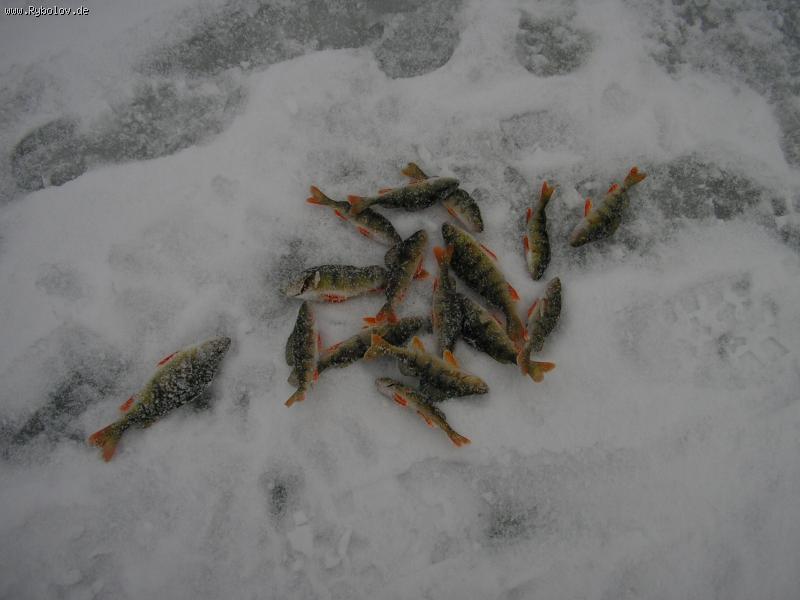 --� ��� � ����. - ������� (����������)