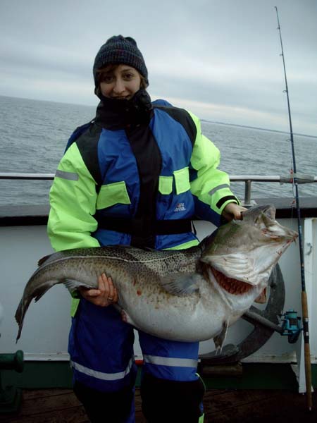 --Dorsch - ������� (����������)