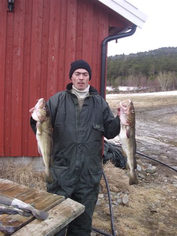 --������� � �������� - ������� (����������)