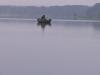Passadersee. Утренний туман - рыбалка (фотоальбом)
