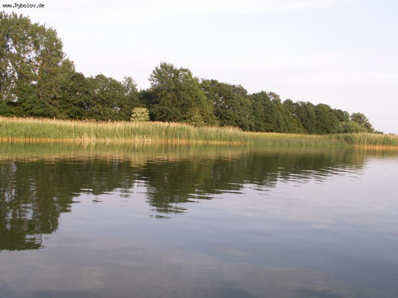 --Passadersee.   -  ()