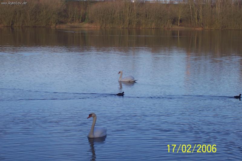 --������ �� ����� . - ������� (����������)