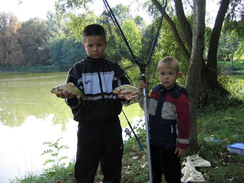 --��� ������ , ��� � �������� � �������� ������? - ������� (����������)