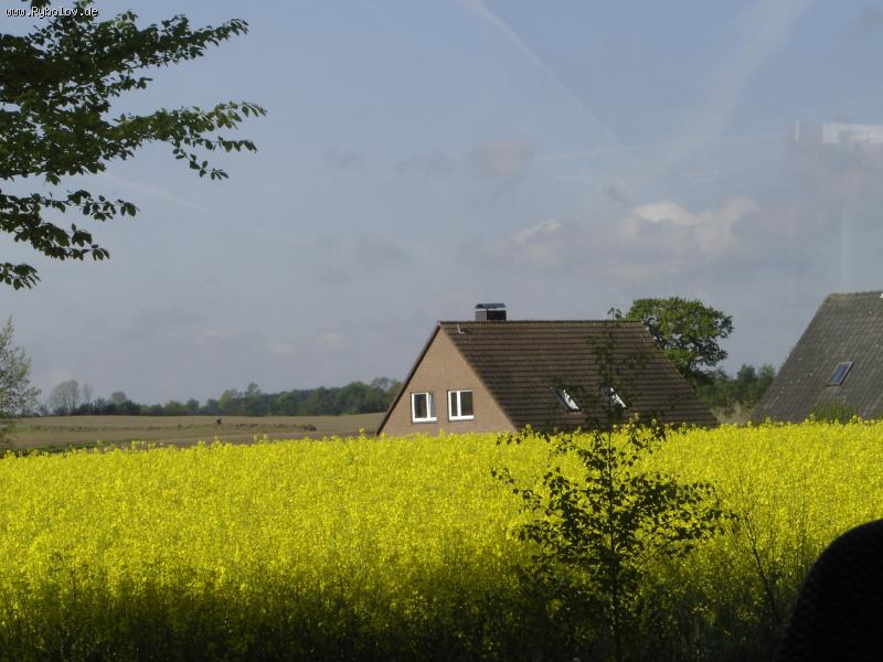 -- ,  Bossee -  ()
