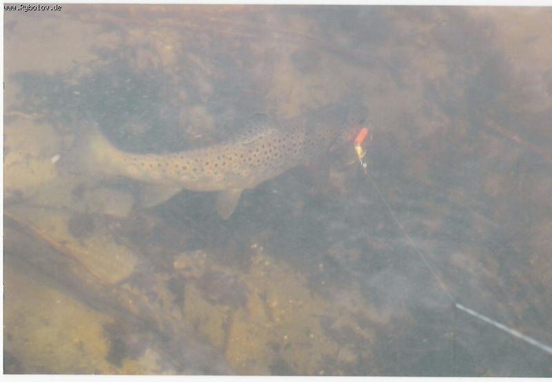 --�������!!!!! - ������� (����������)