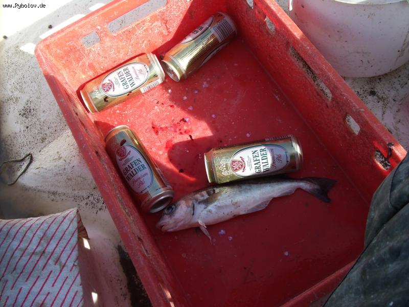 --��������� ���� - ������� (����������)