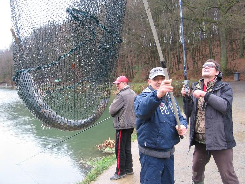 --��������� "���������" - ������� (����������)