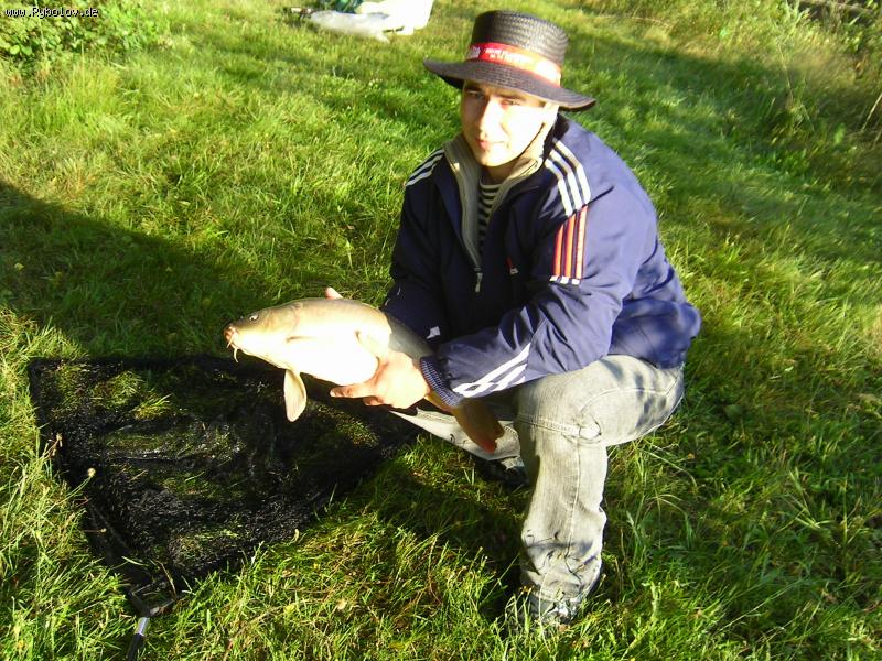 --��� �� ������! - ������� (����������)