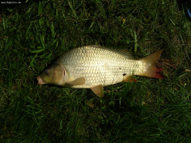 --��������! - ������� (����������)