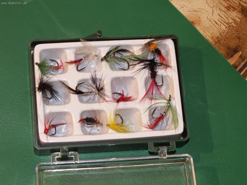 --������ � ��������! - ������� (����������)