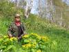 ������ �� �������� - ������� (����������)
