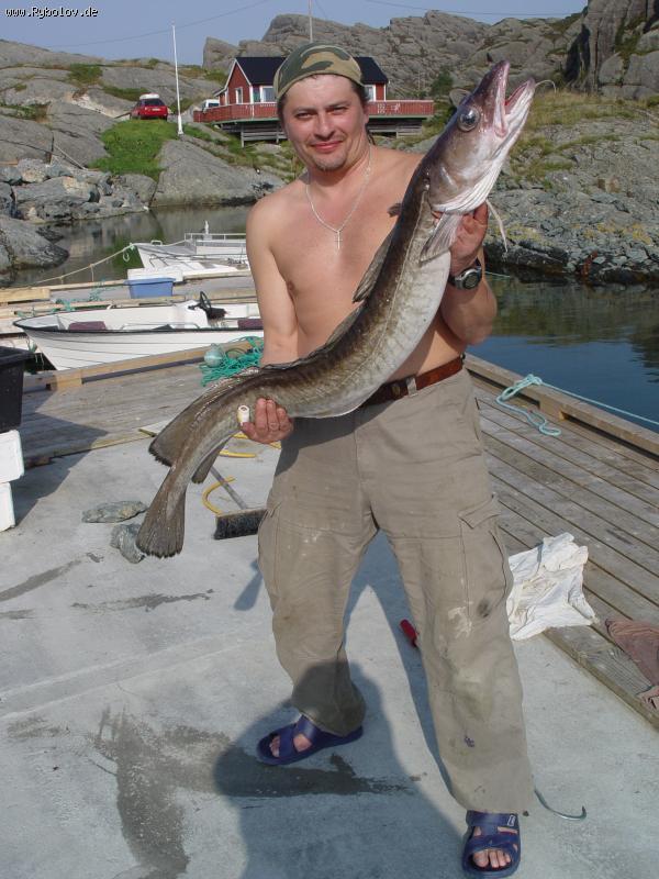 --Leng, 1,20 m. - ������� (����������)