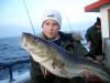 Dorsch-Ostsee -  ()
