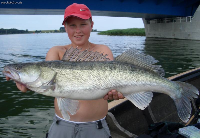 --Zander - ������� (����������)