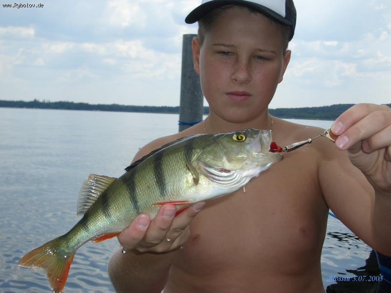 --Barsch - ������� (����������)