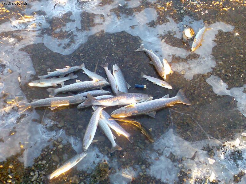 --����������� ������ - ������� (����������)