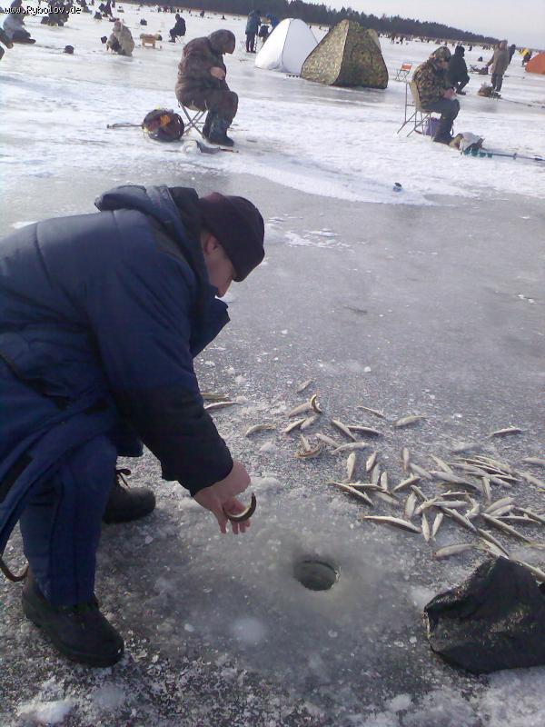 --��������� ������� - ������� (����������)