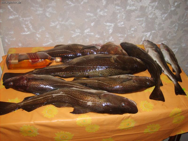 --������� ���� �� ������� - ������� (����������)