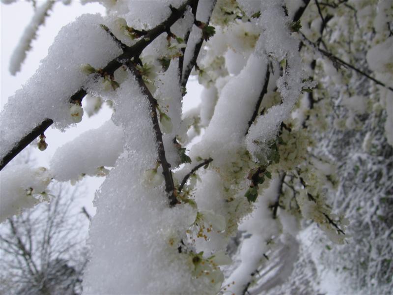 --��� , ����� ������ ���... (����� 2) - ������� (����������)