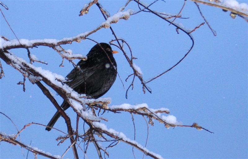 --��� , ����� ������ ���... (����� 2) - ������� (����������)