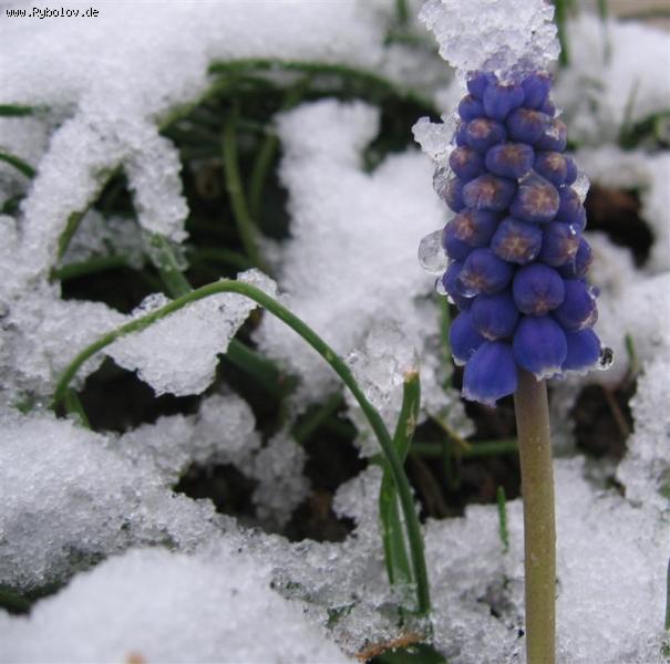 --��� , ����� ������ ���... (����� 2) - ������� (����������)