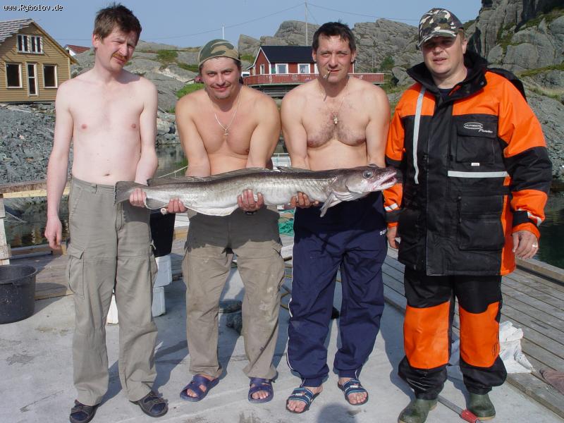 --�� ������ �� ������... - ������� (����������)