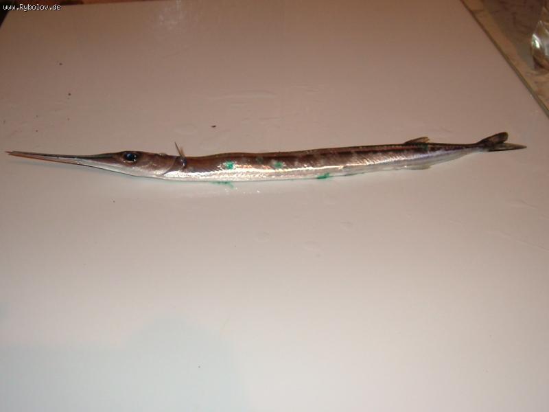 --�������� - ������� (����������)