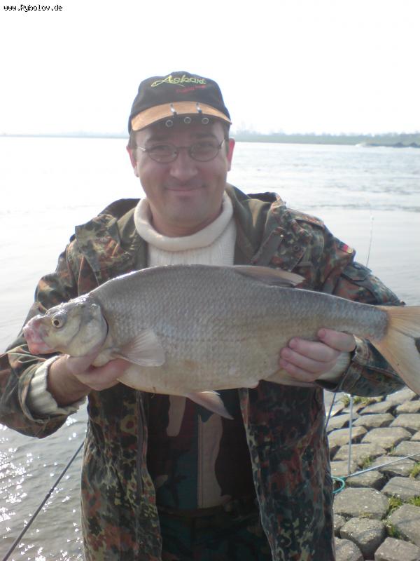 --�������� ������ 2007 ��������� - ������� (����������)