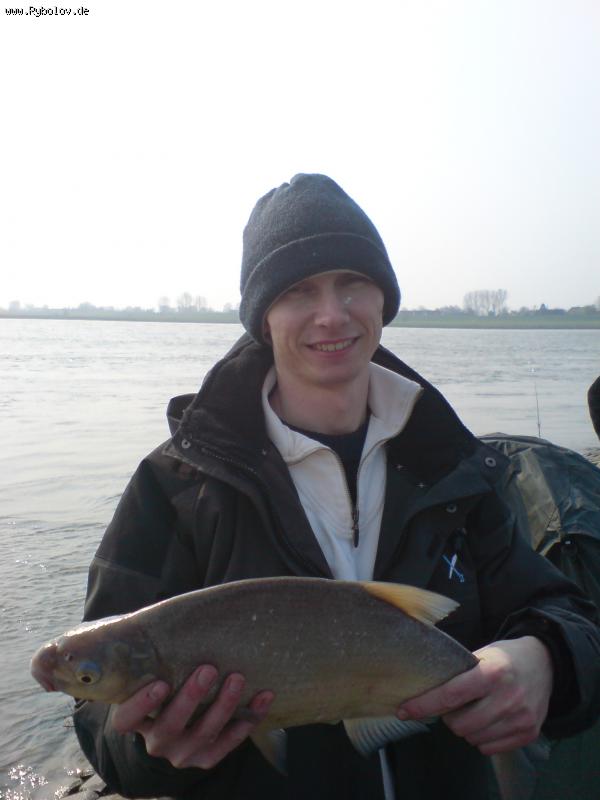 --������������� � ��������� - ������� (����������)